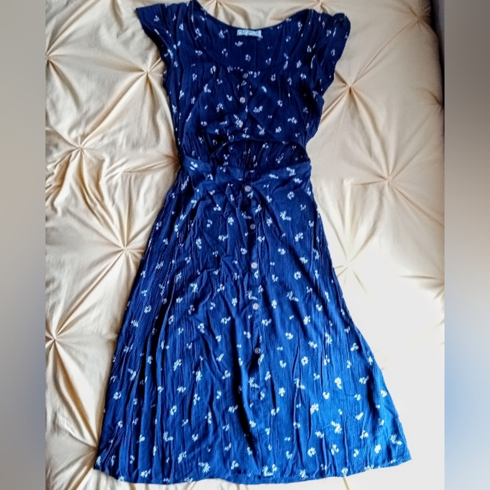 Blue Cottage Dress